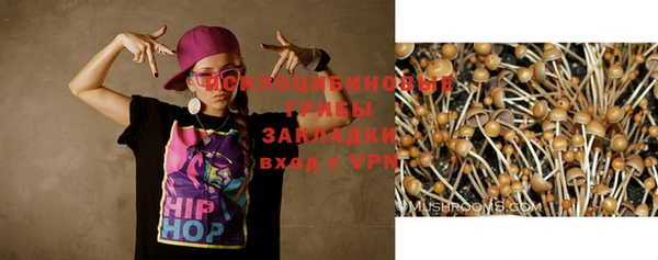 стафф Алексин